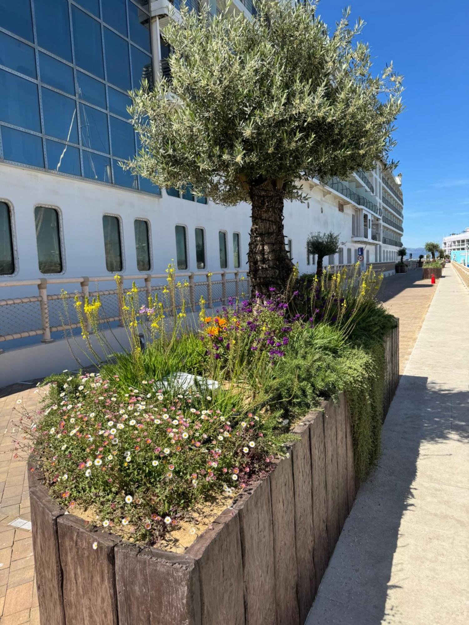 Marina Club Luxury Private Studio With Pool And Incredible Views Gibraltar Exterior photo