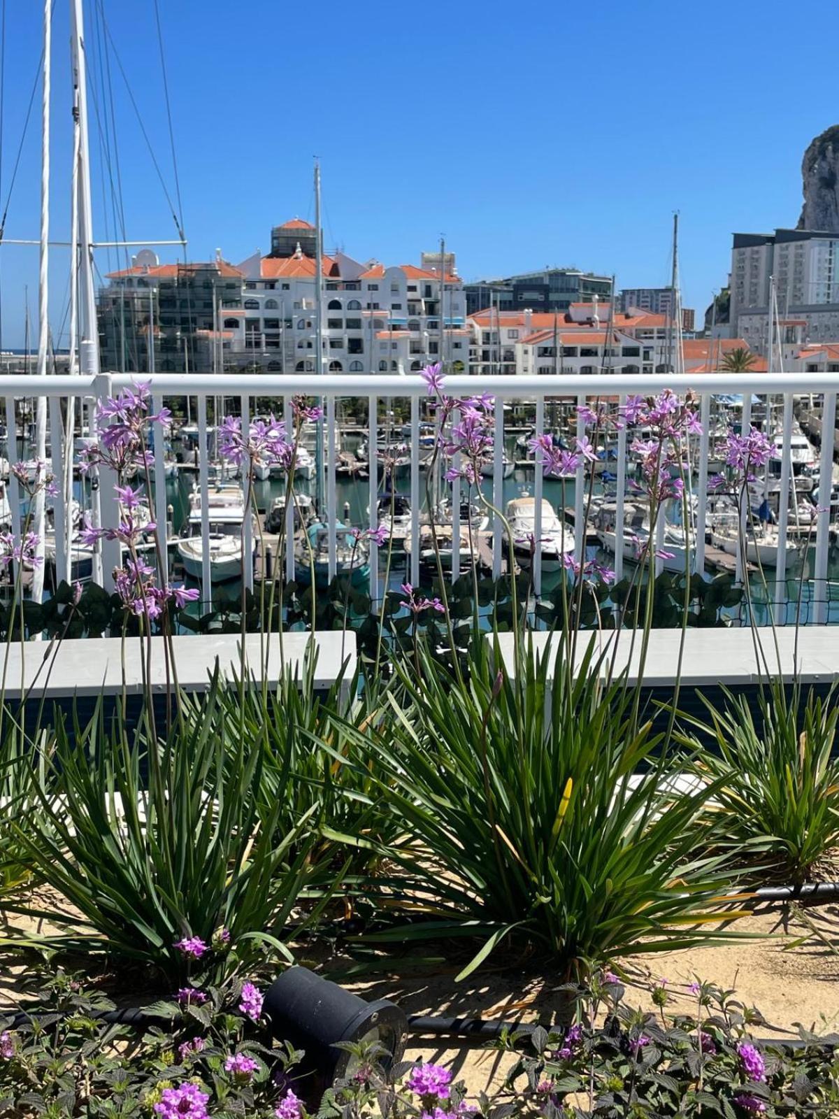 Marina Club Luxury Private Studio With Pool And Incredible Views Gibraltar Exterior photo